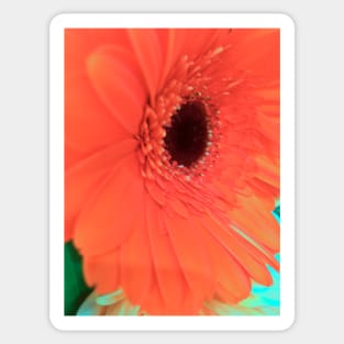 Orange Flower - Autumn Bouquet - Flowers Sticker